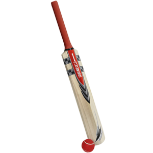 Cricket bat PNG-76689